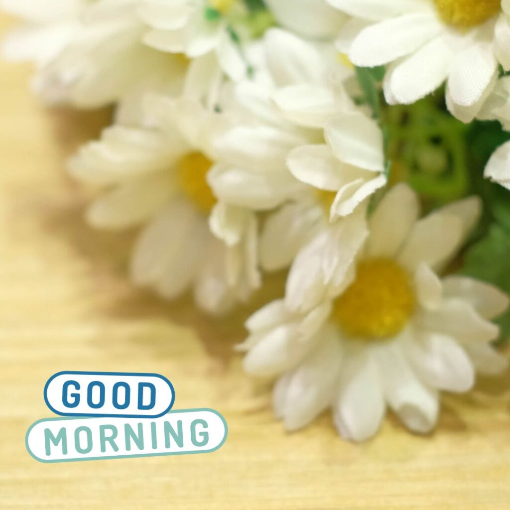 Good Morning Image For WhatsApp