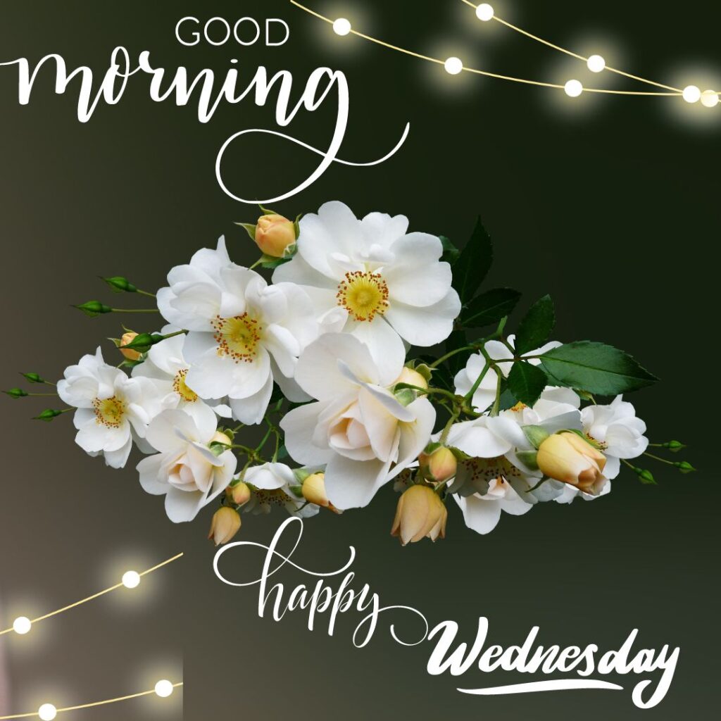 Good Morning Wednesday new Images