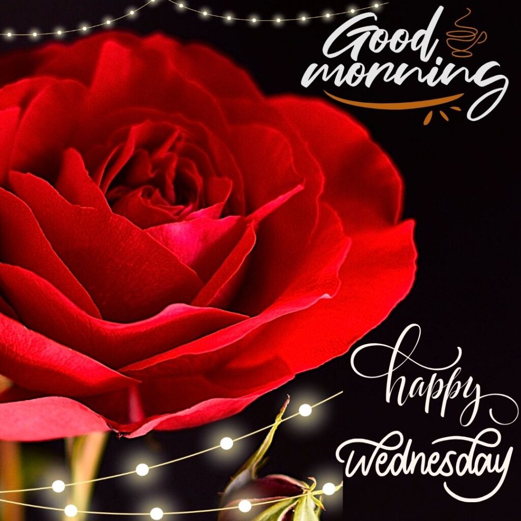 Good Morning Wednesday greetings Images
