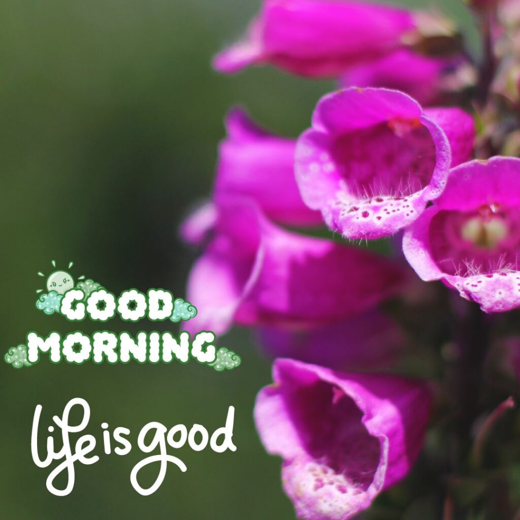 Beautiful Cute Today Special Good Morning