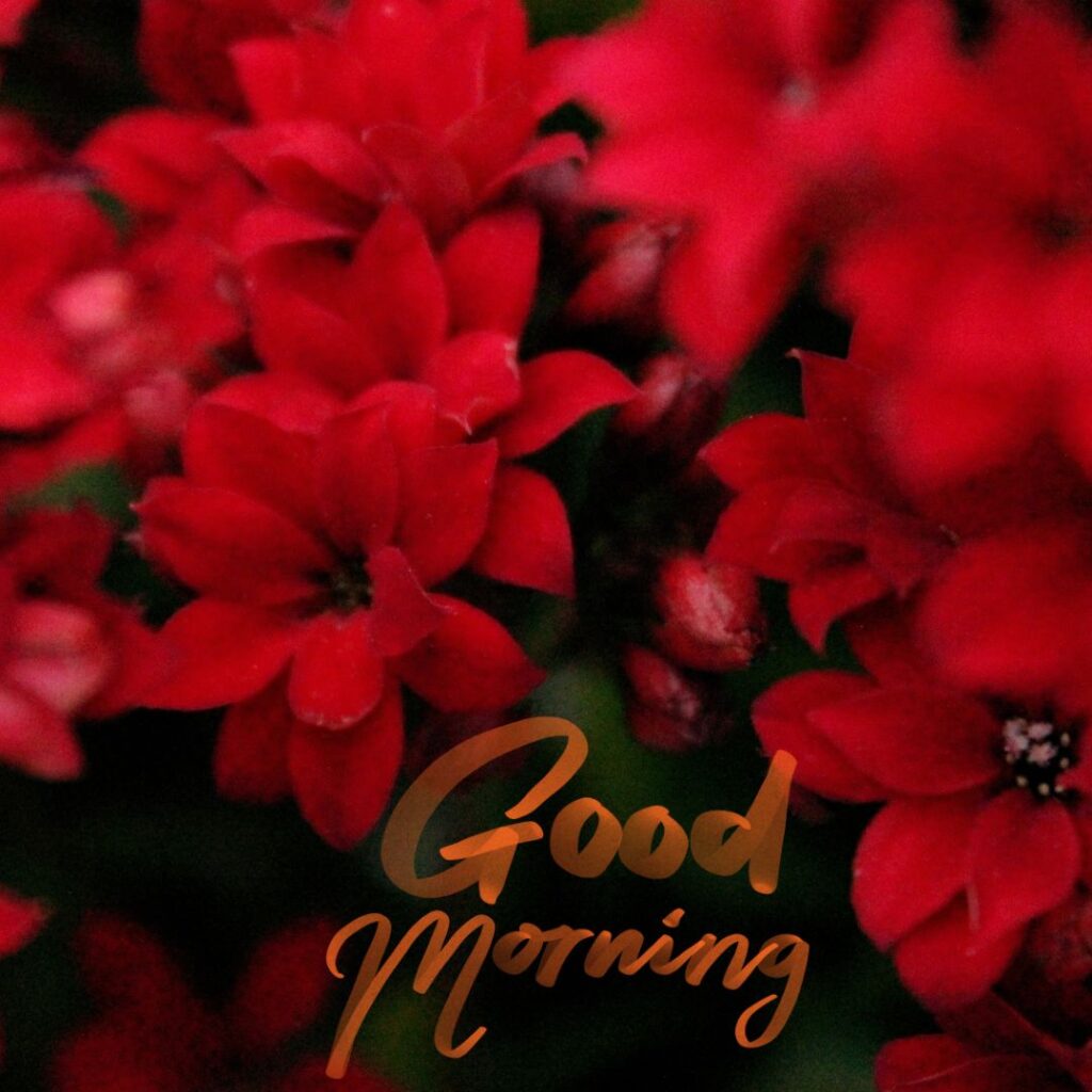 Special Good Morning