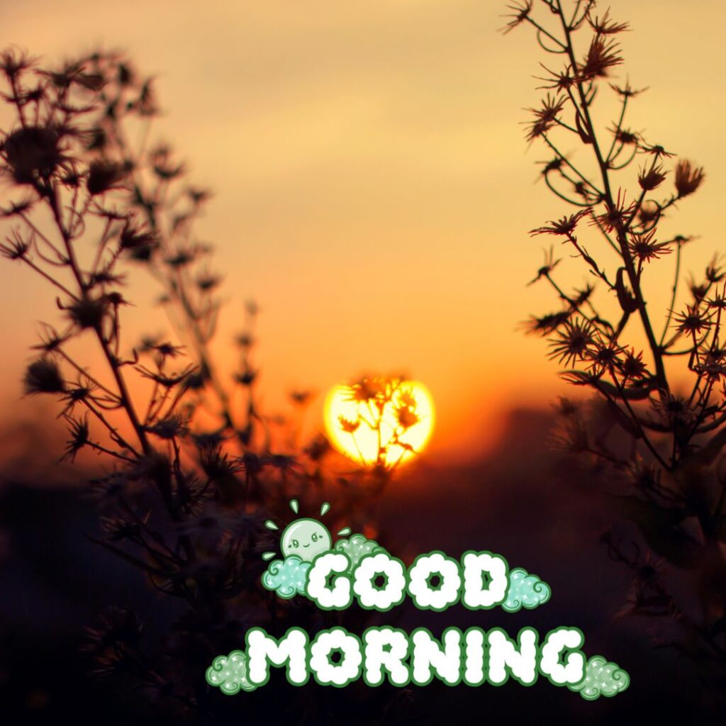 Today Special Good Morning Images Early morning