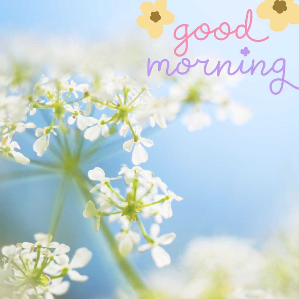 Unique Today Special Good Morning Images