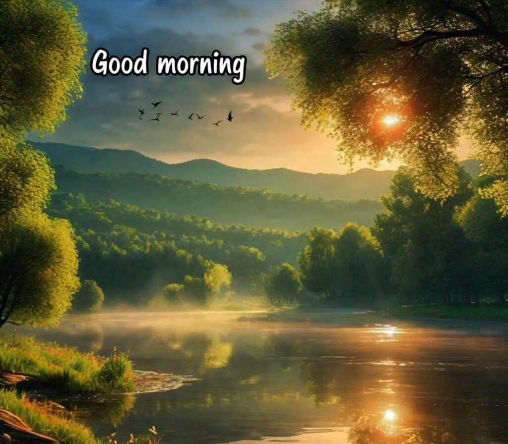 Good Morning Photos