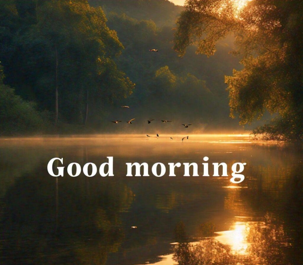 Good Morning Photos