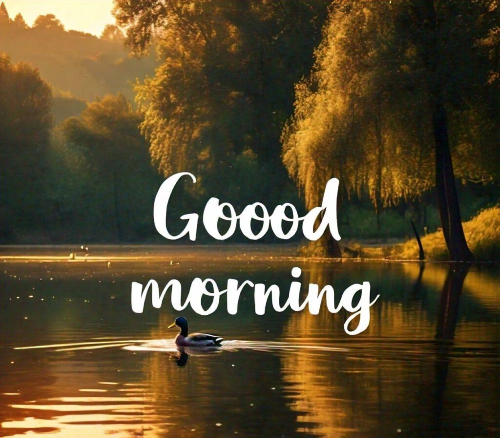 Good Morning Photos