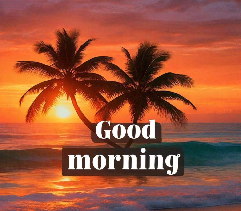 Good Morning Photos