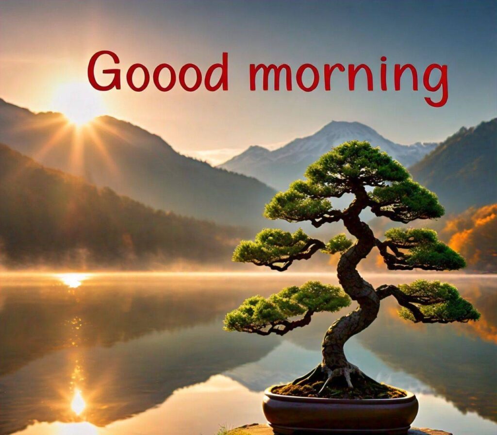Good Morning Photos