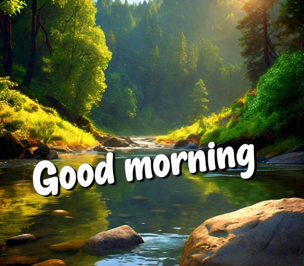Good Morning Photos