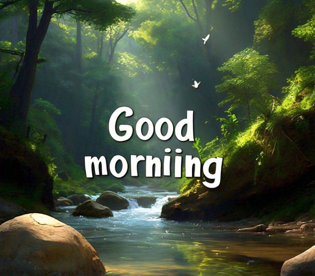 Good Morning Photos