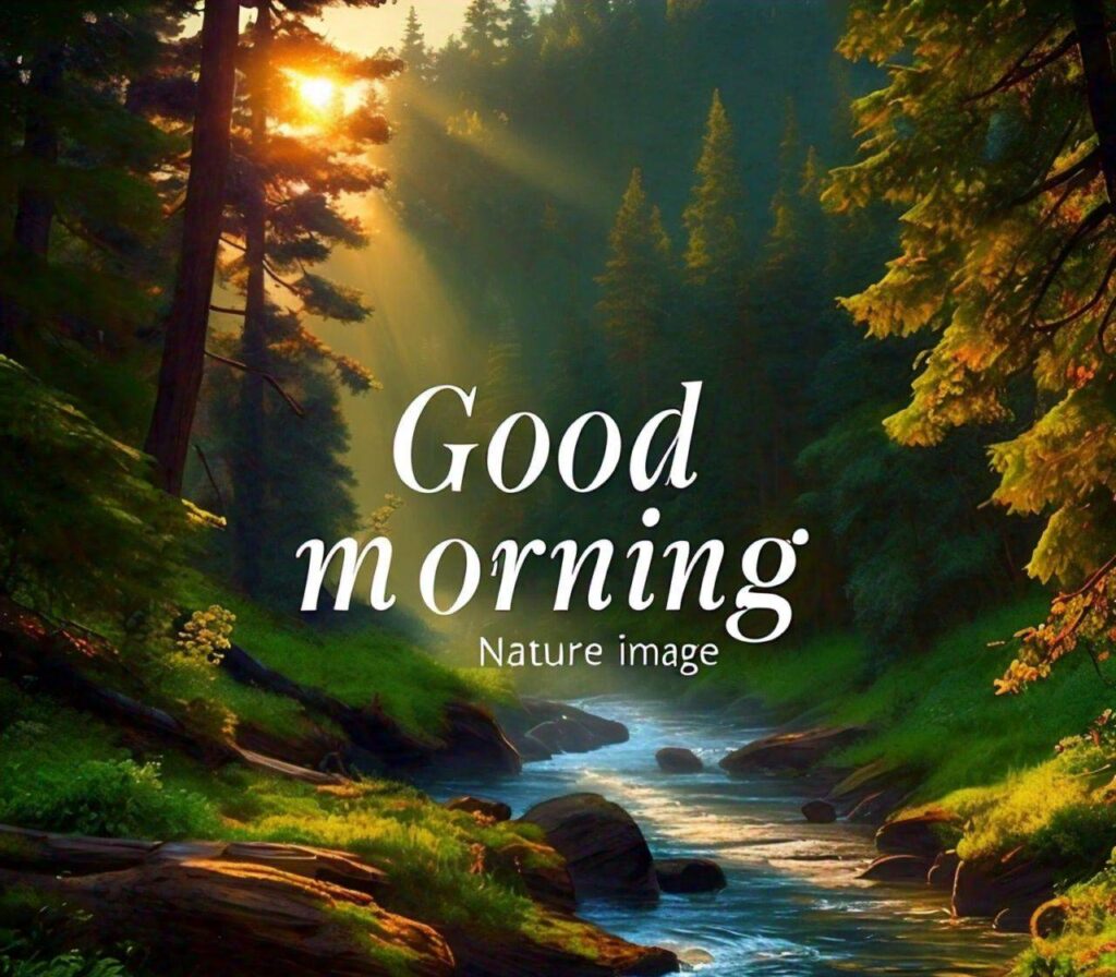 Good Morning Photos