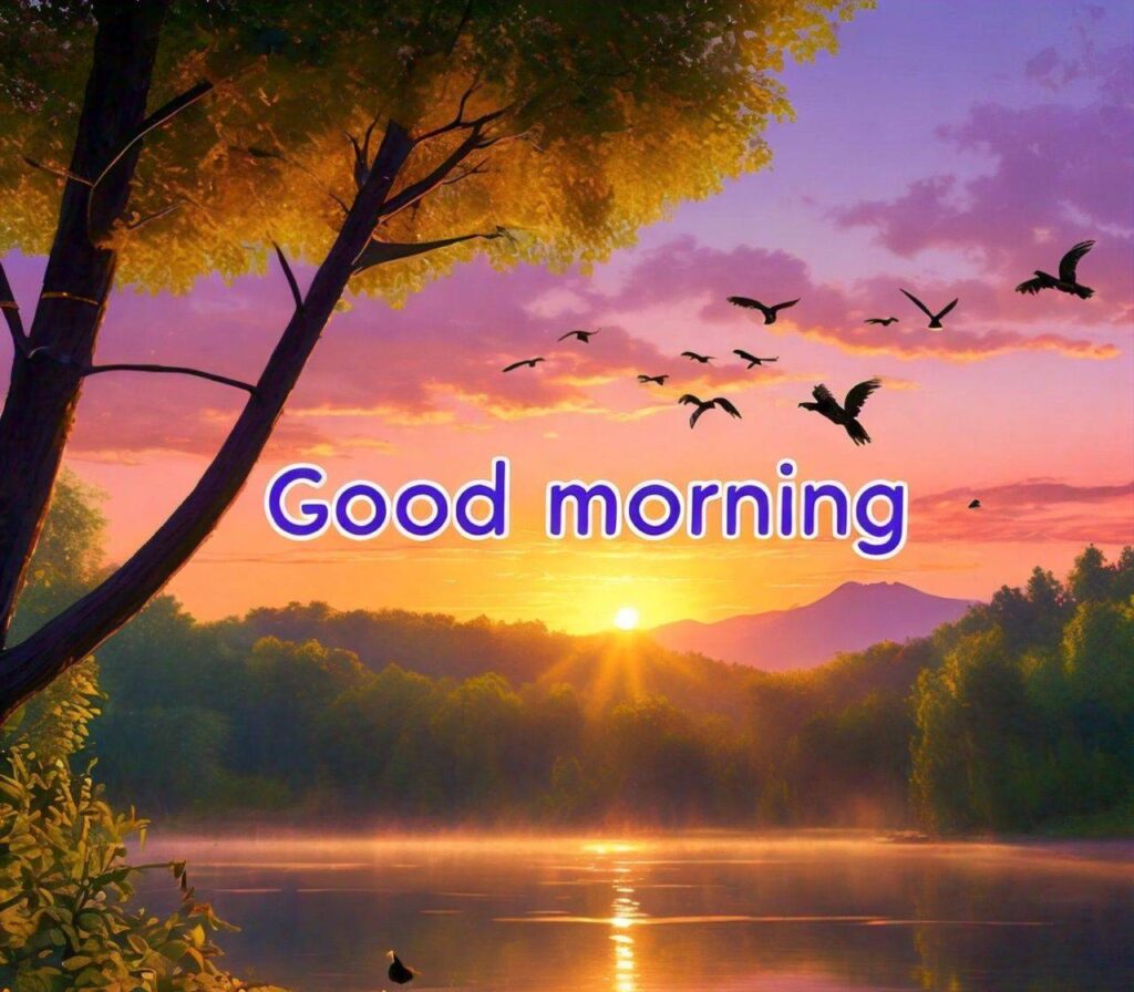 Good Morning Photos