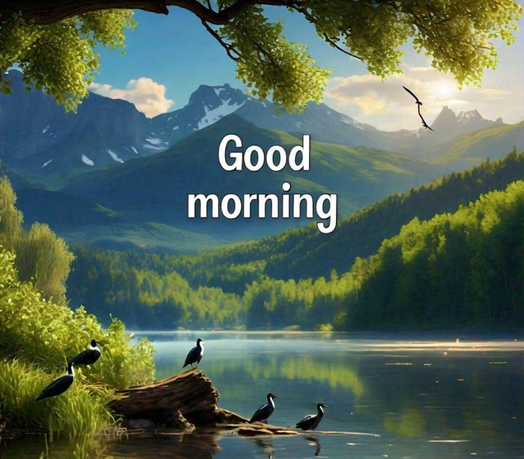 Good Morning Photos