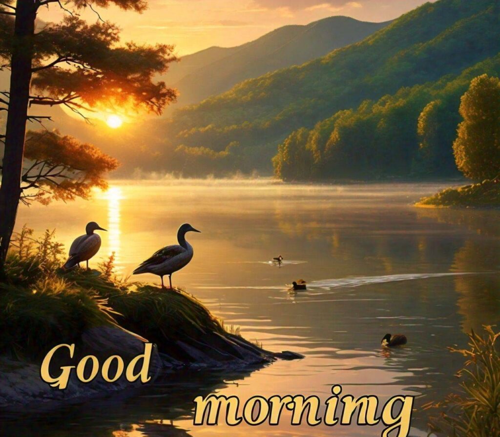 Good Morning Photos