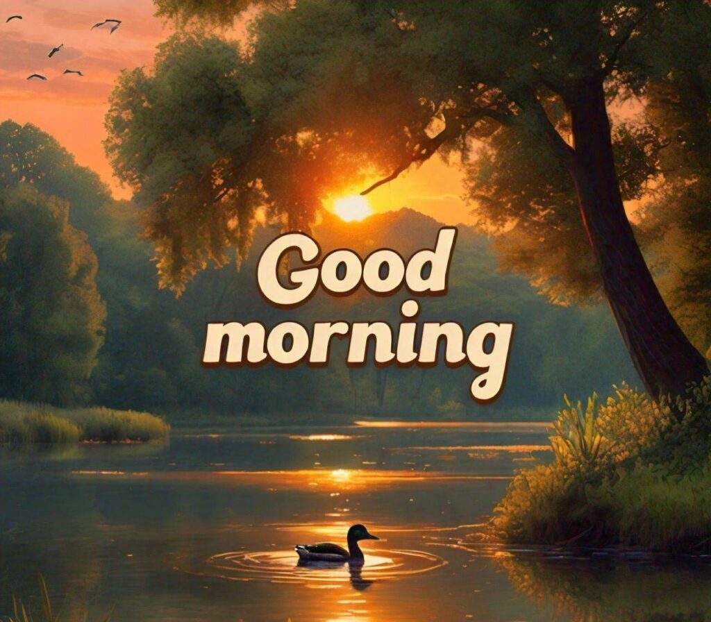 Good Morning Photos