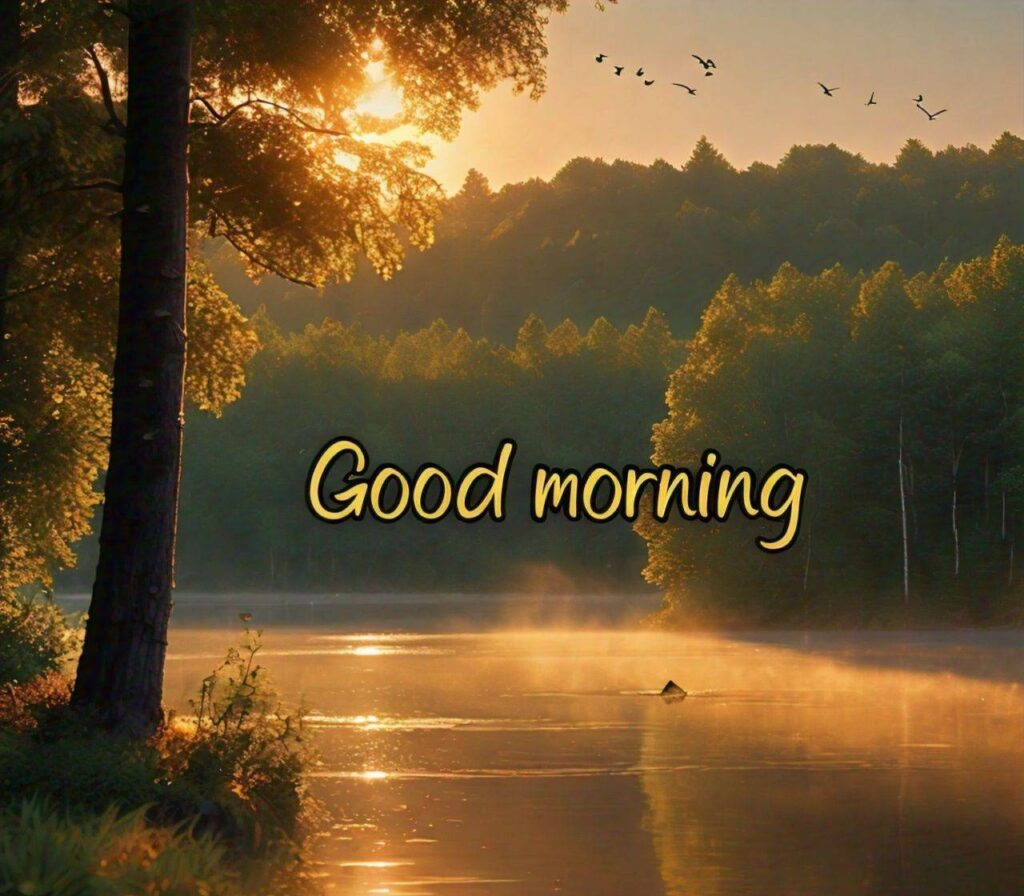 Good Morning Photos