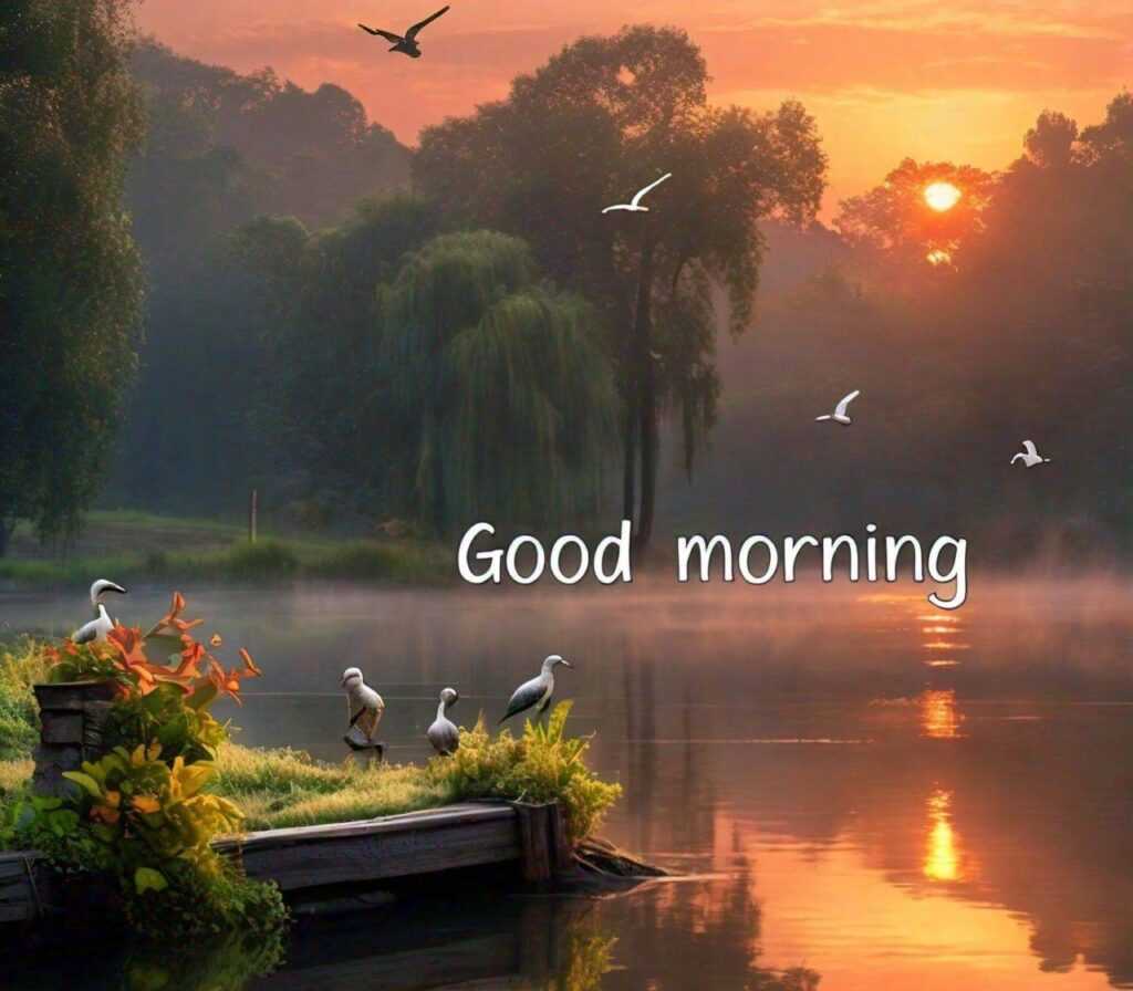 Images of Good Morning
