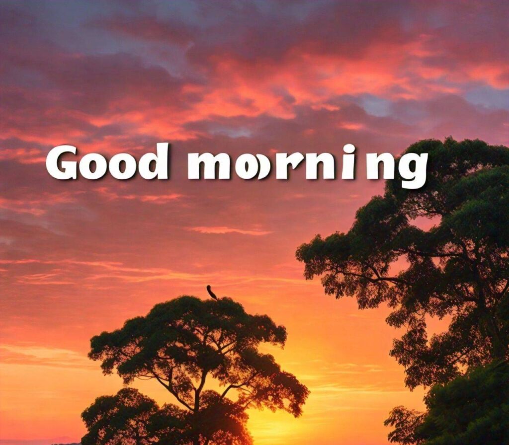 Special Good Morning Images