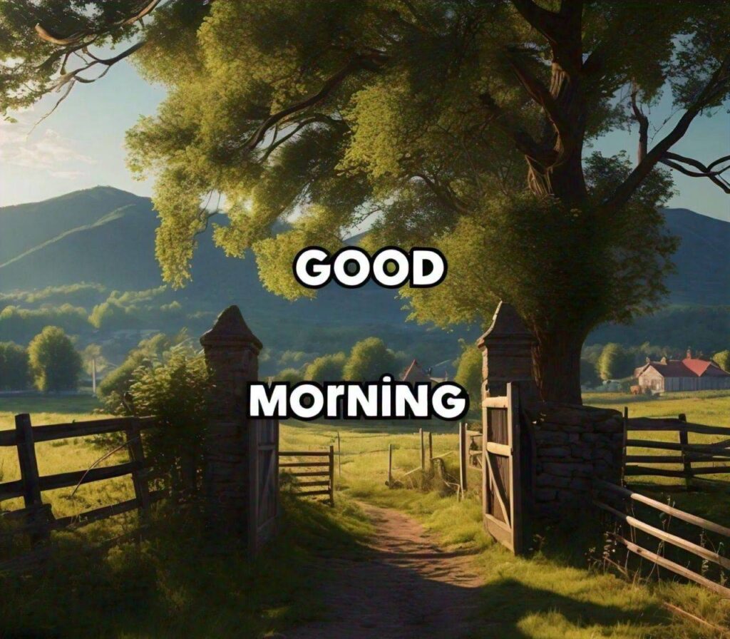 Special Good Morning Images