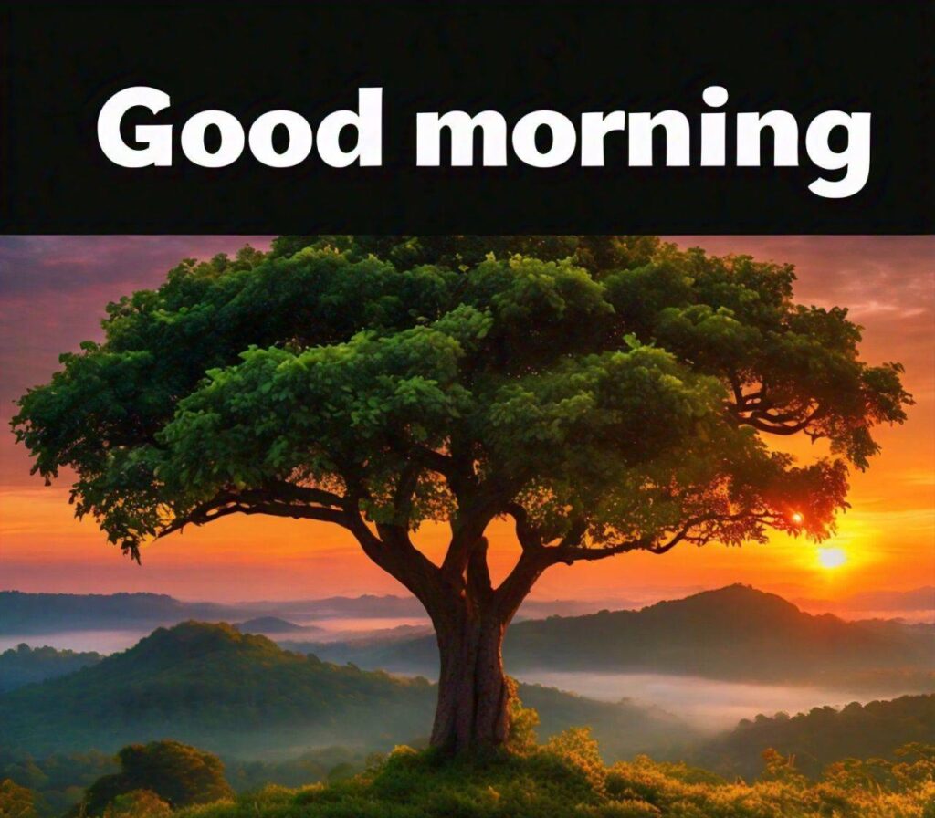 Special Good Morning Images