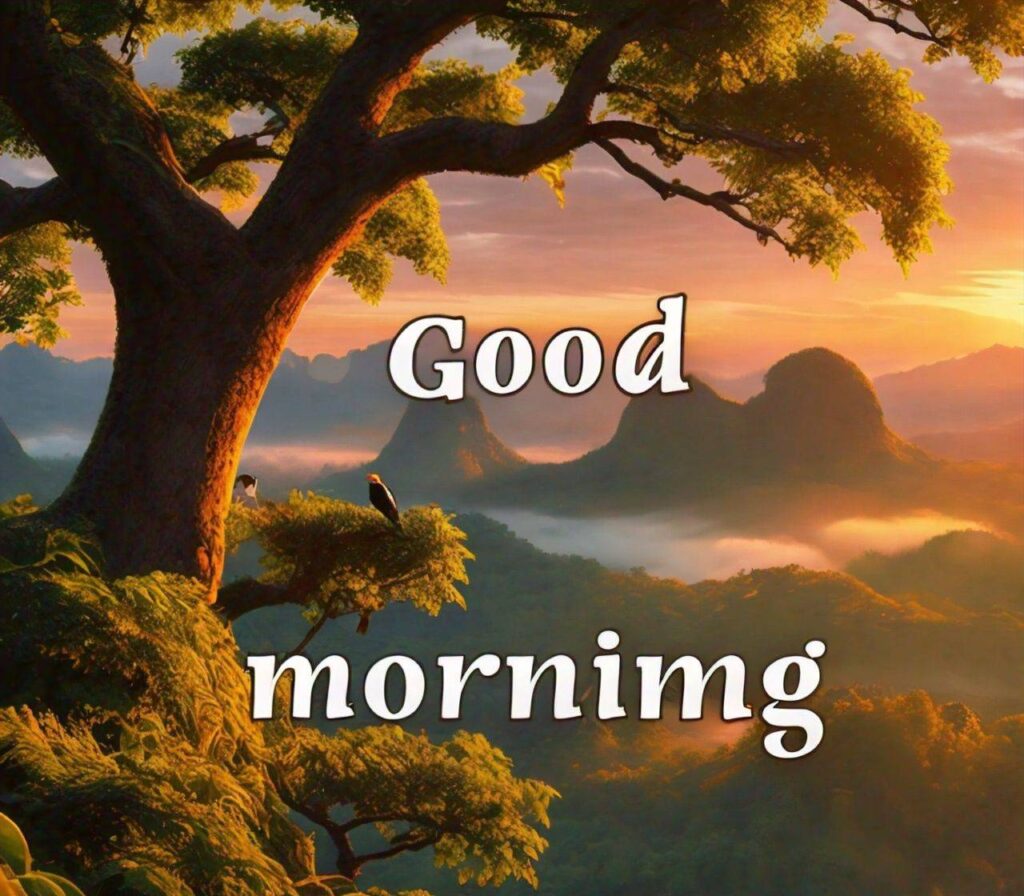 Special Good Morning Images