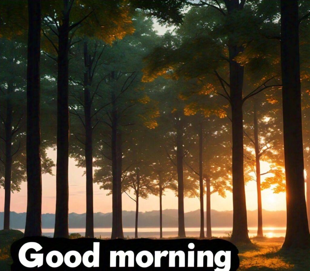 Special Good Morning Images